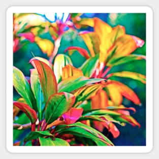 Colorful Tea Leaf Sticker